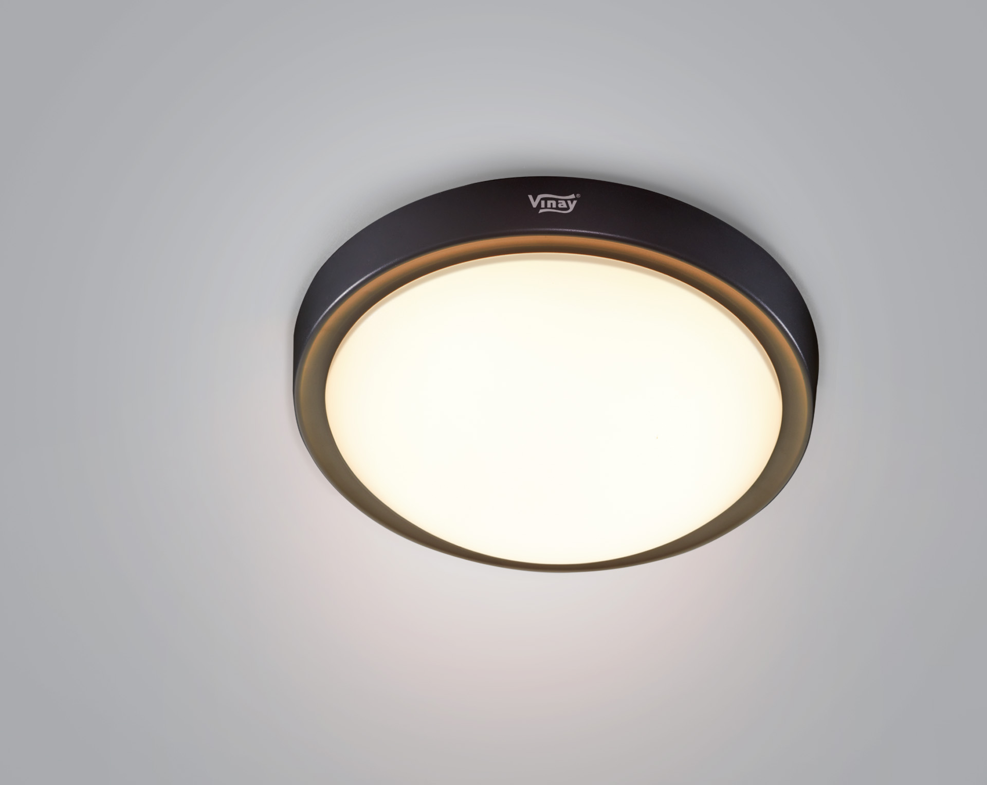 680133_Eco LED Ceiling Light