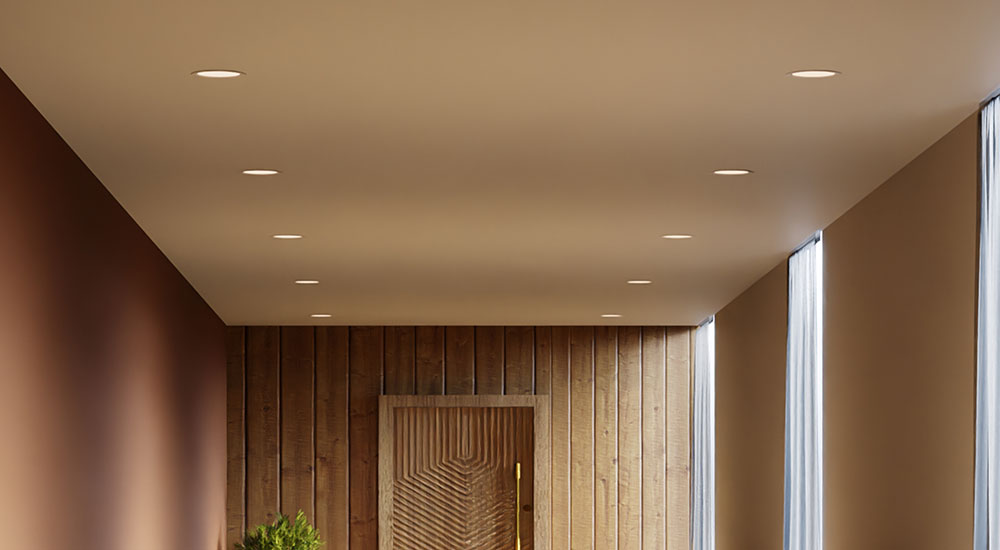 Vinpro-LED--Panel-Light_DL-d